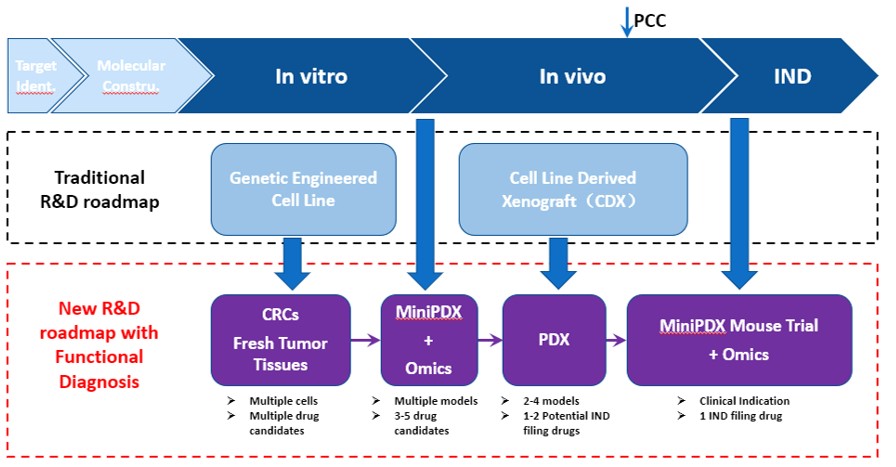 Preclinical Oncology Studies: The Key To New Cancer Treatments | LIDE ...